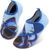 Blue Shark
