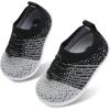 Black Ligrey