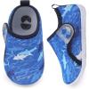 Cmesh Blueshark
